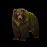 Bhalu the Bear, a GutiVerse cheerleader