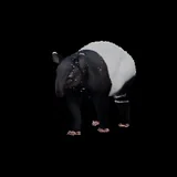 Toto the Tapir, a GutiVerse cheerleader